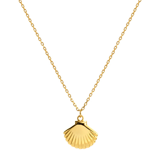 Petite golden seashell necklace
