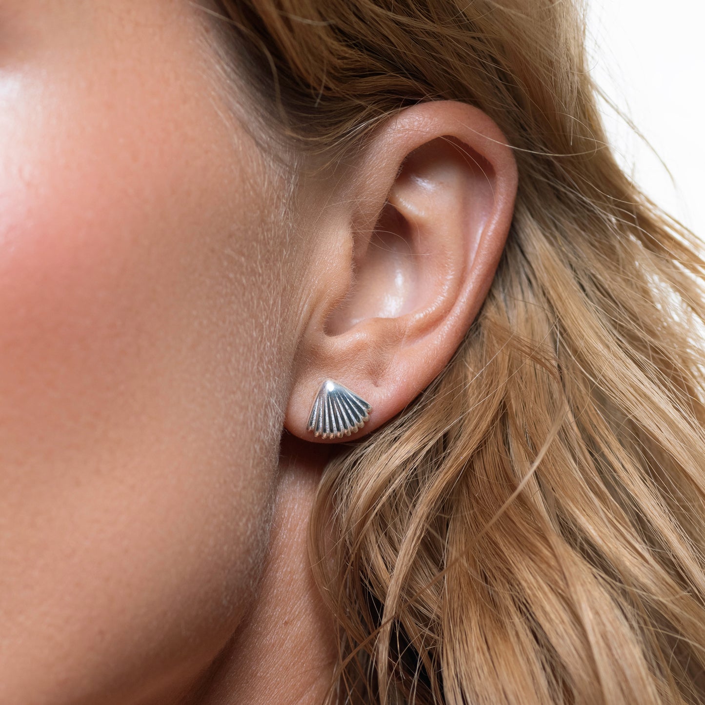 Seashell silver stud earrings